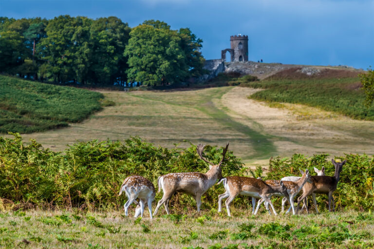 Leicestershire, The Great Outdoors